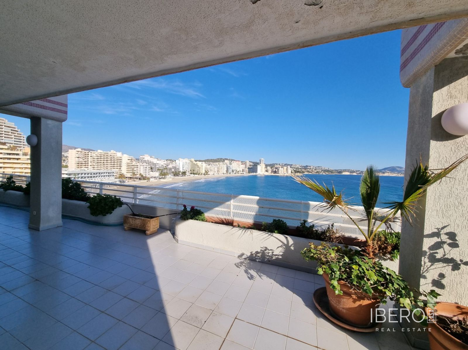 Byt 3+kk Calpe