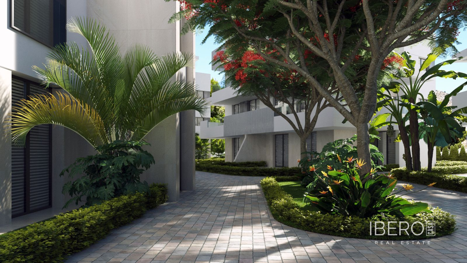 Fotografie 14