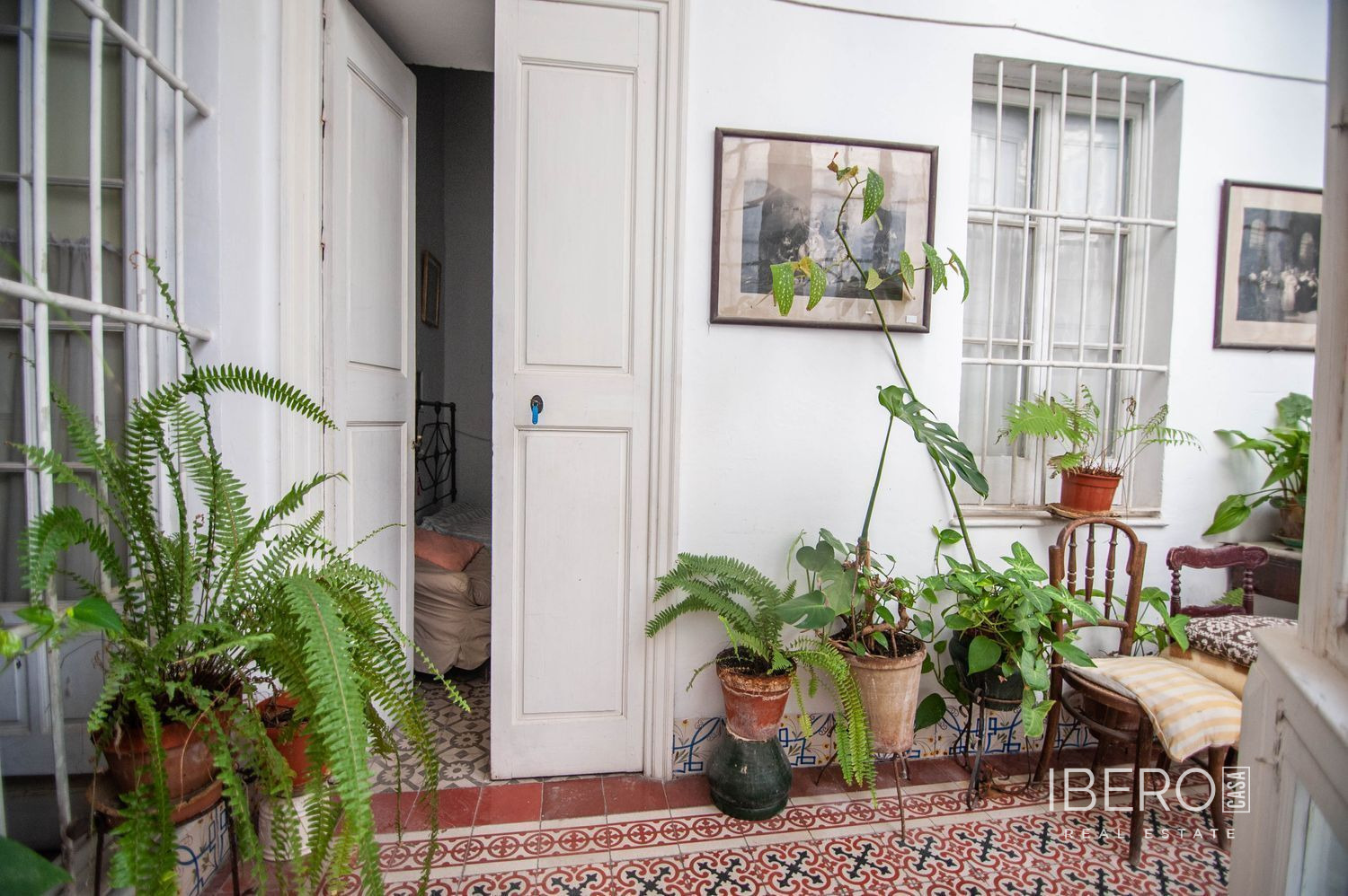 Fotografie 12