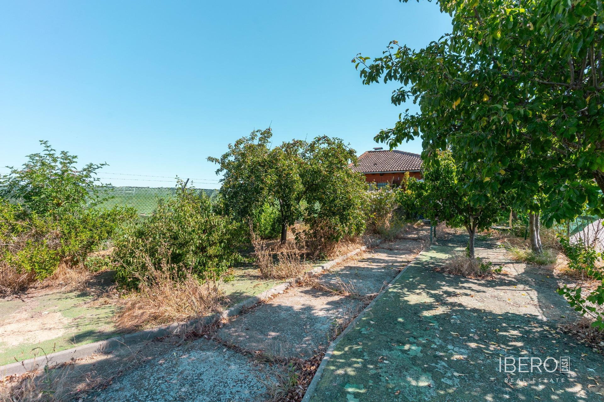 Fotografie 21