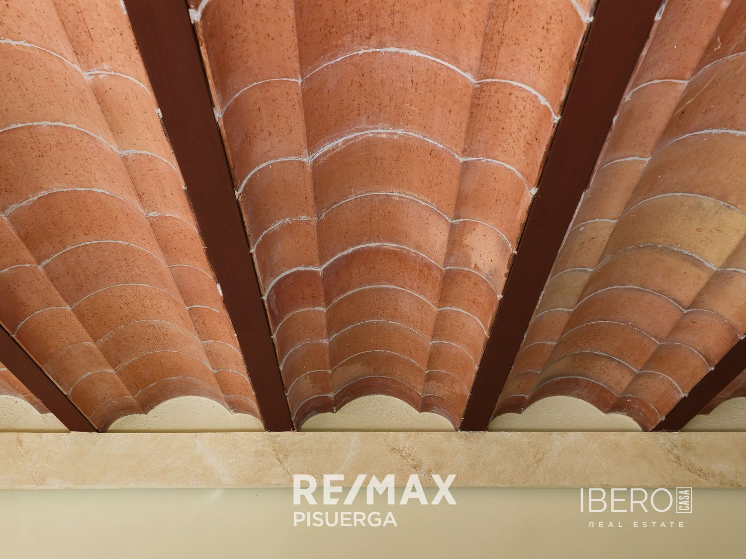 Fotografie 37