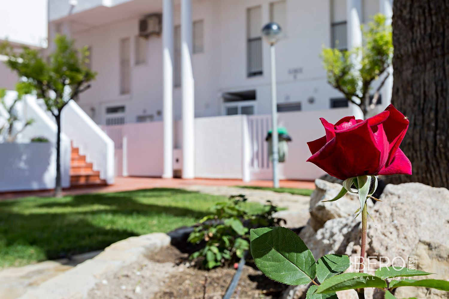 Fotografie 40