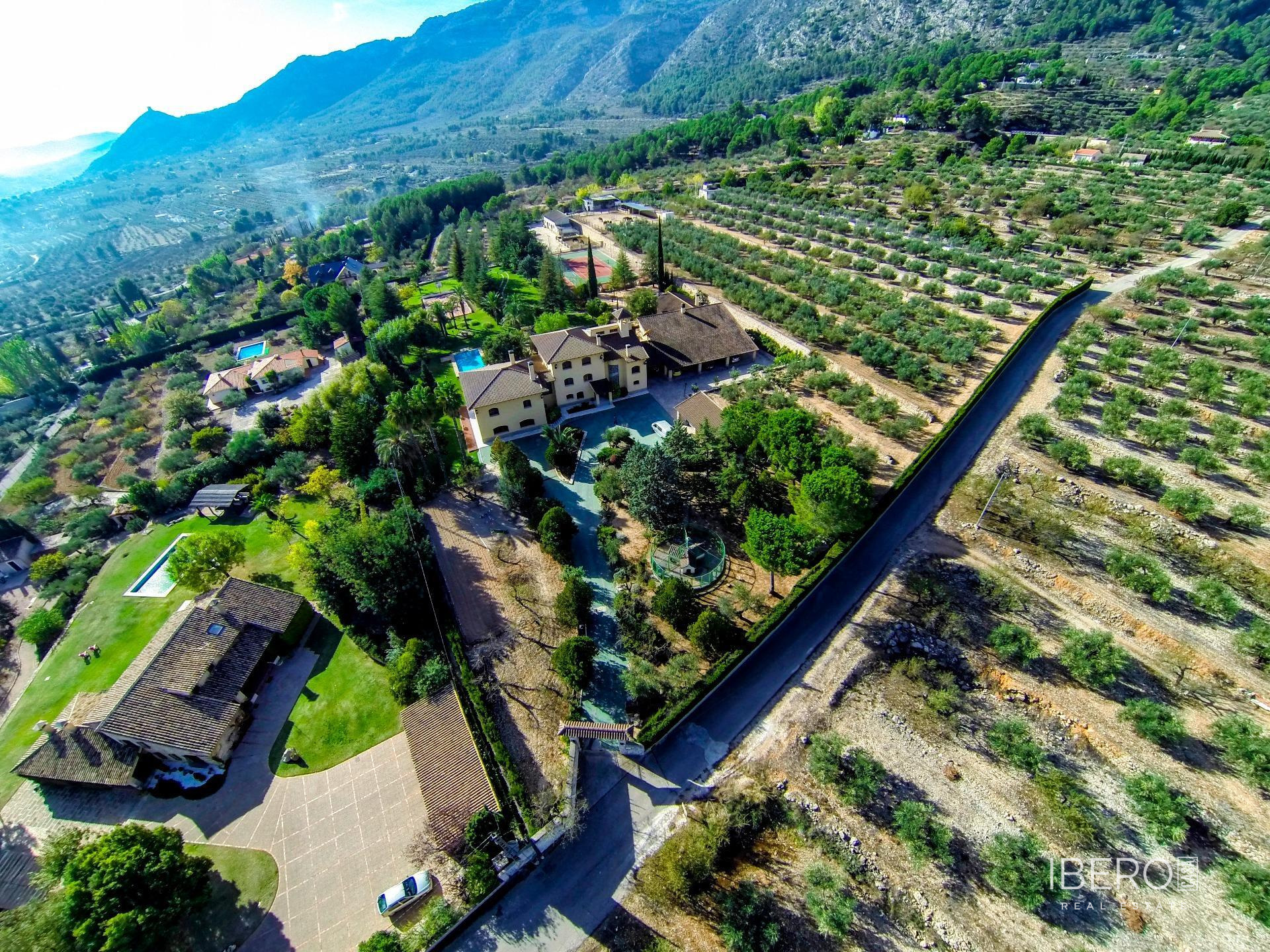 Fotografie 9