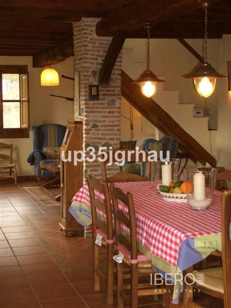 Fotografie 13