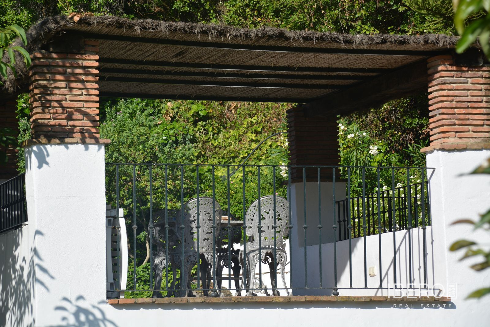 Fotografie 13