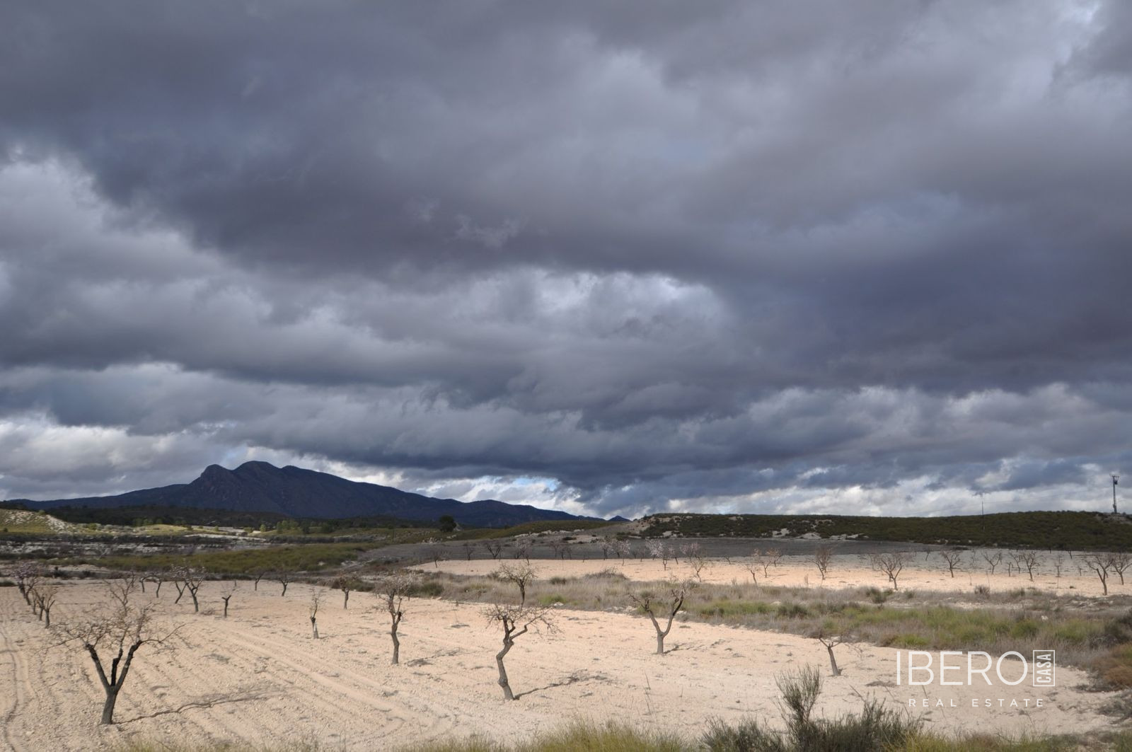 Fotografie 5