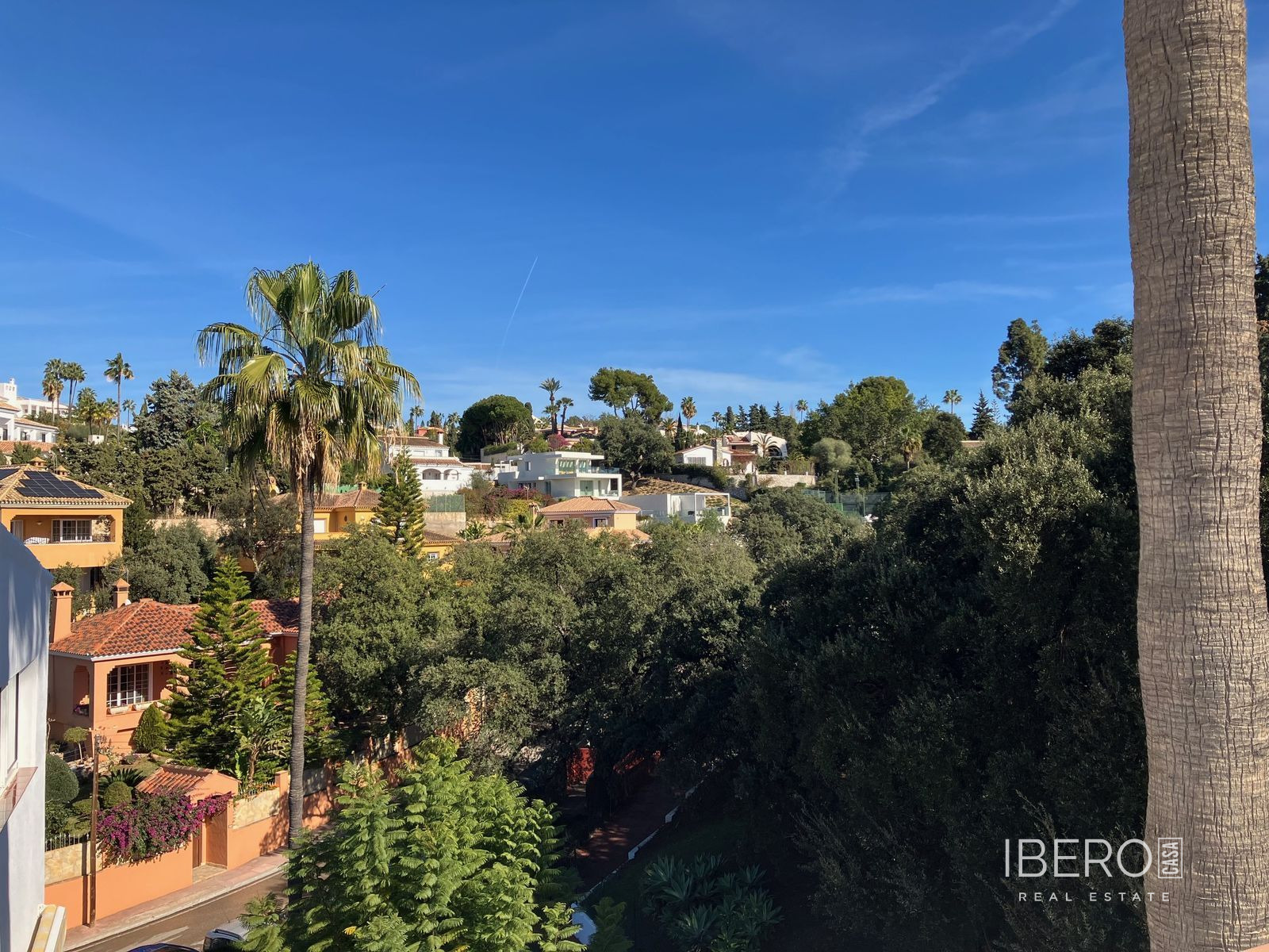 Fotografie 13