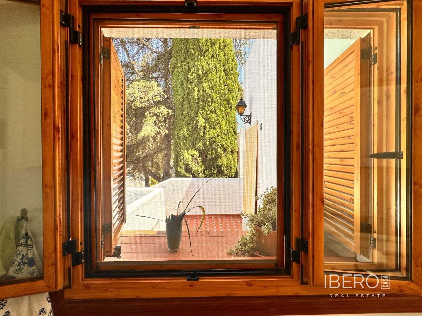 Fotografie 15