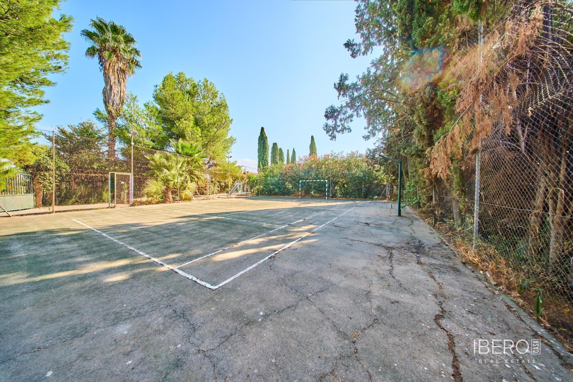 Fotografie 14