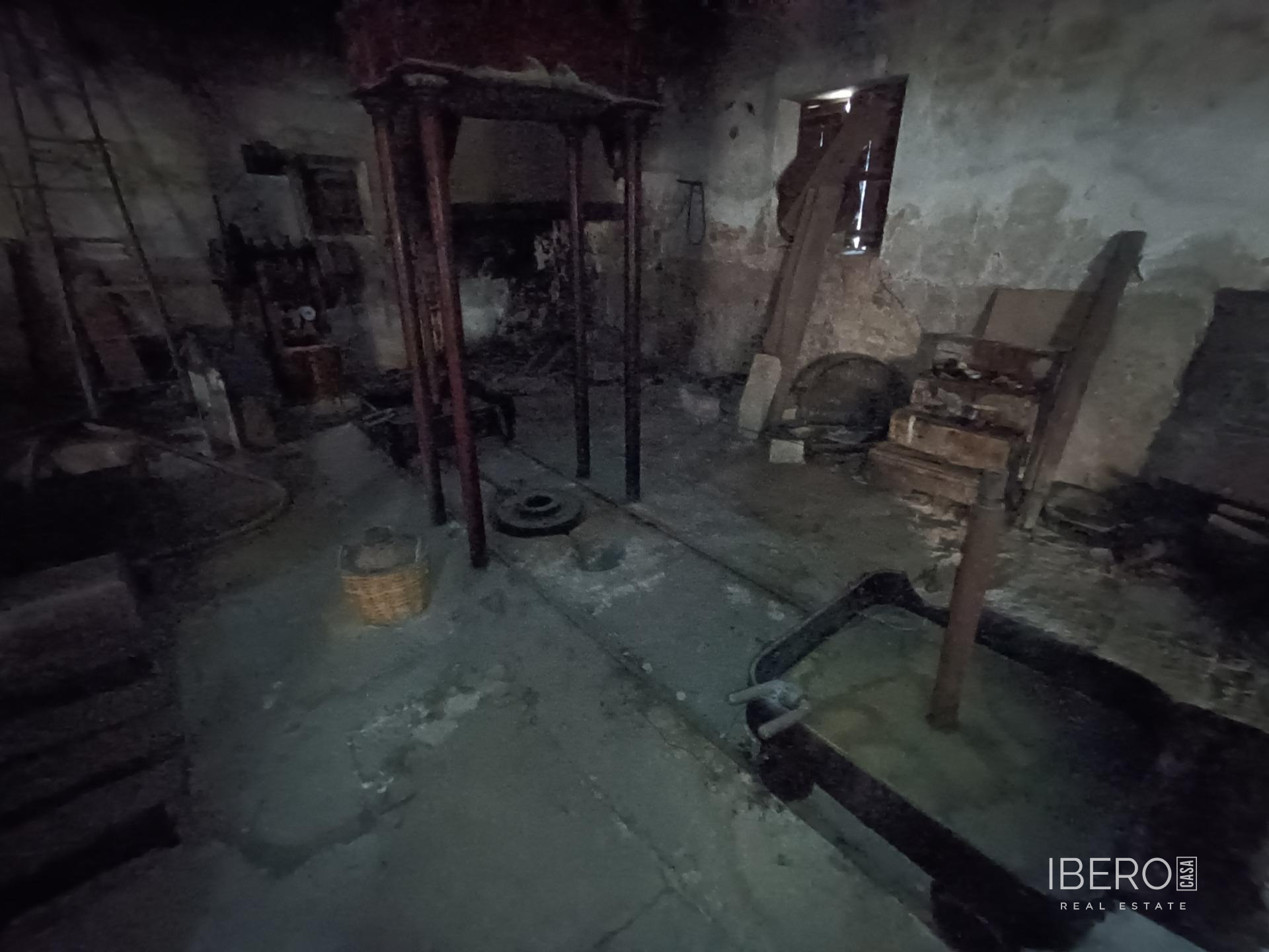 Fotografie 14