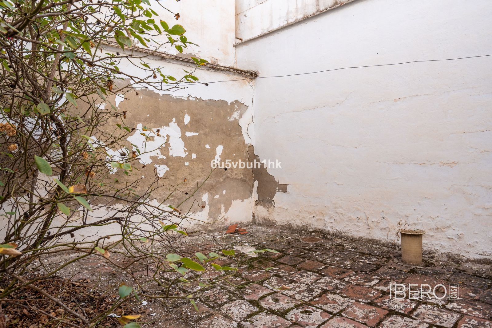 Fotografie 6