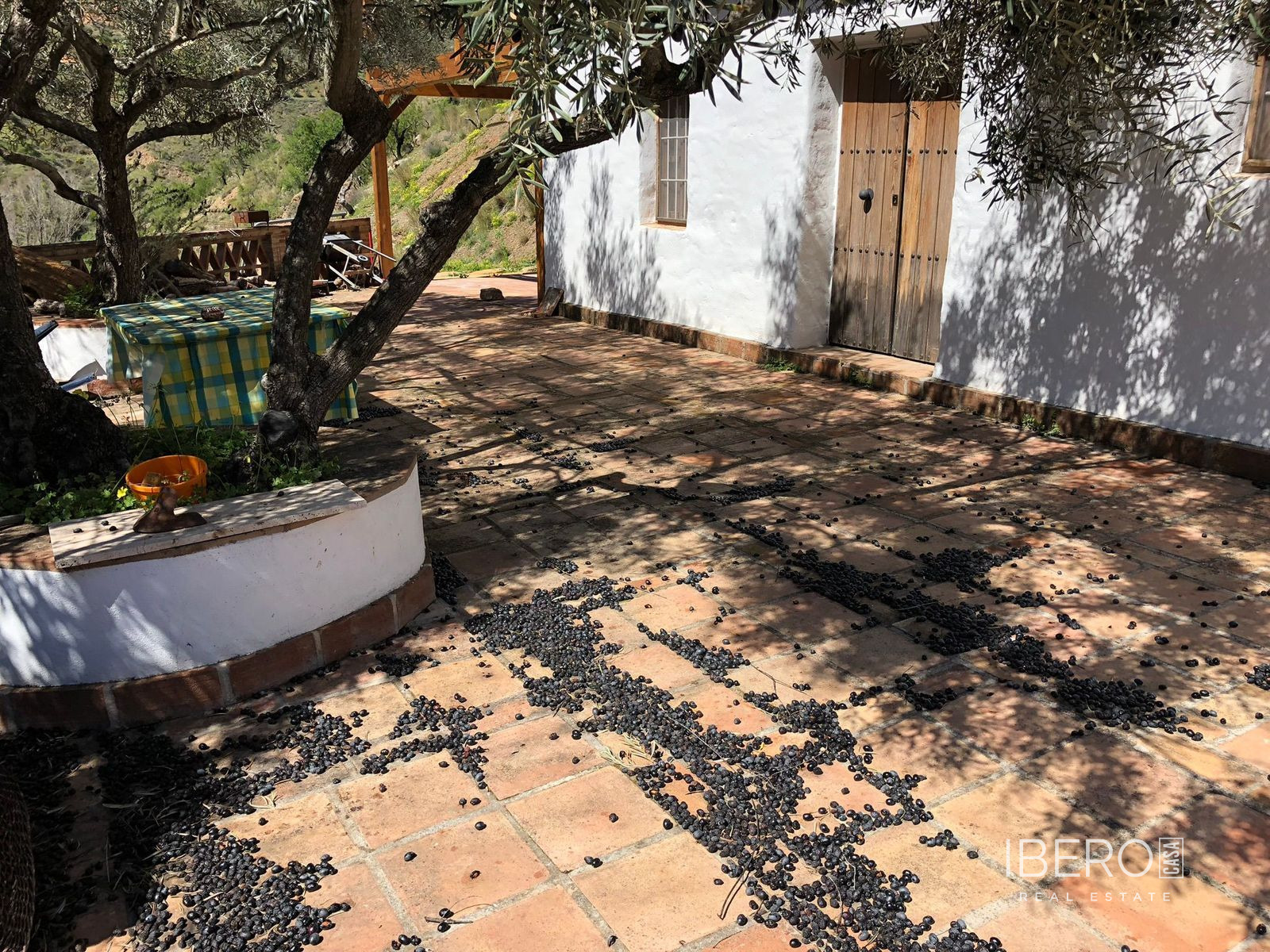Fotografie 10