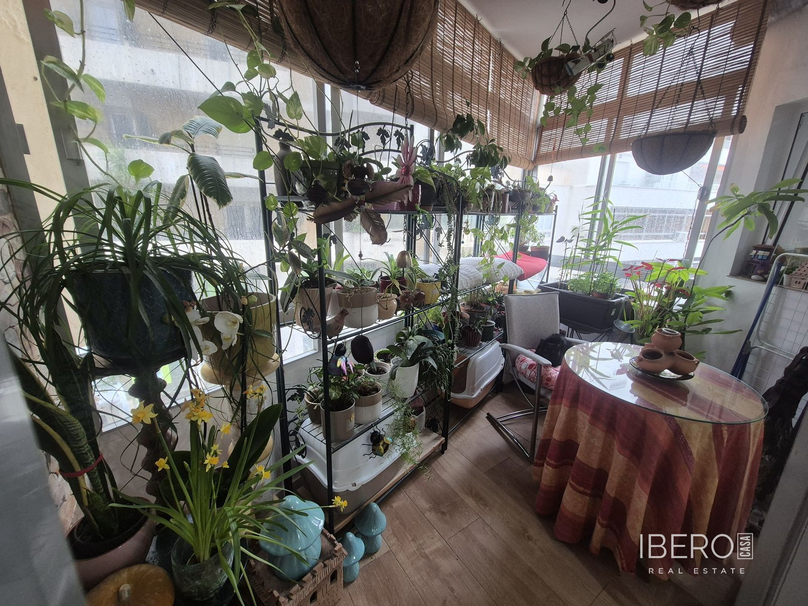 Fotografie 11