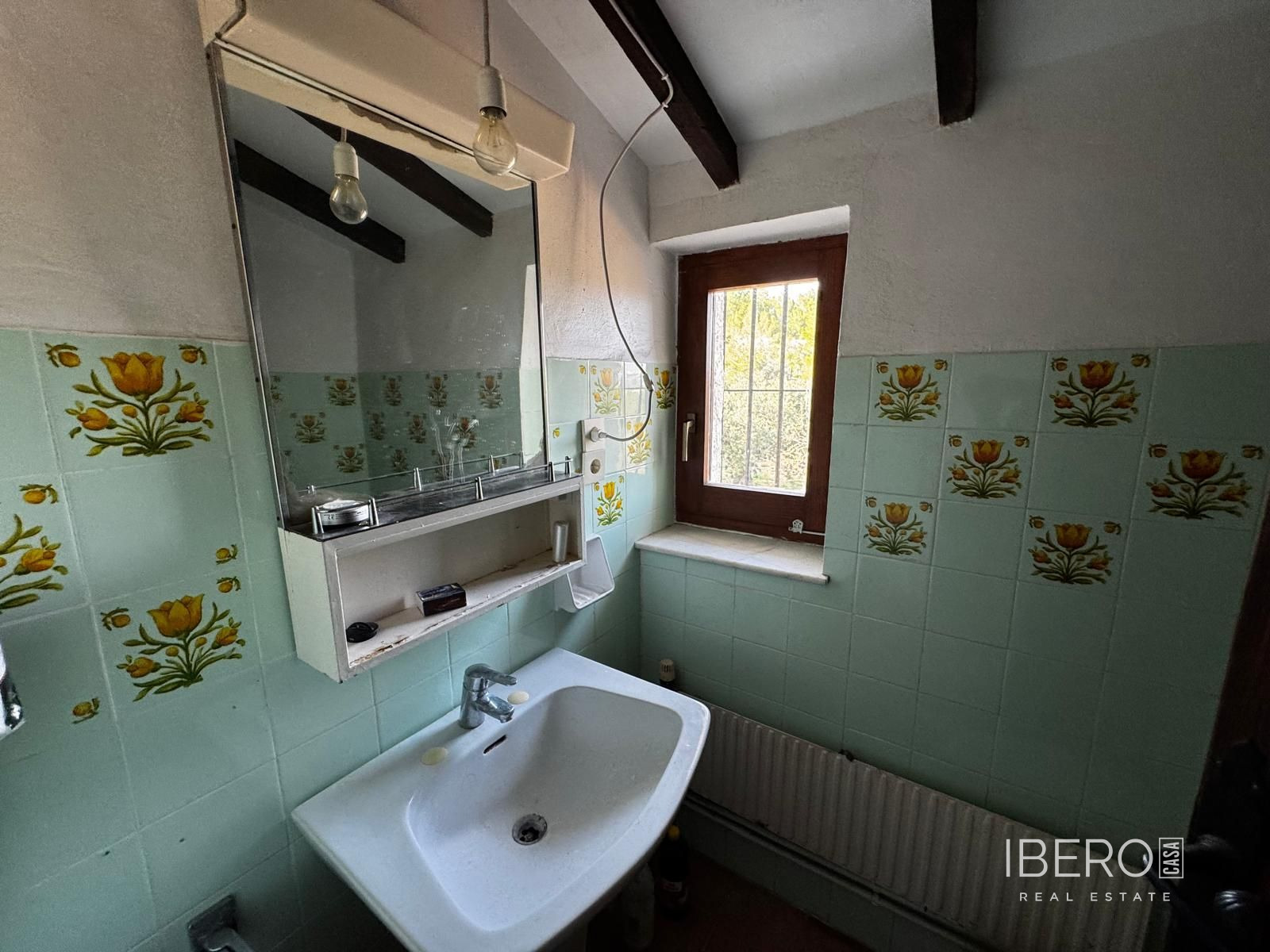 Fotografie 12