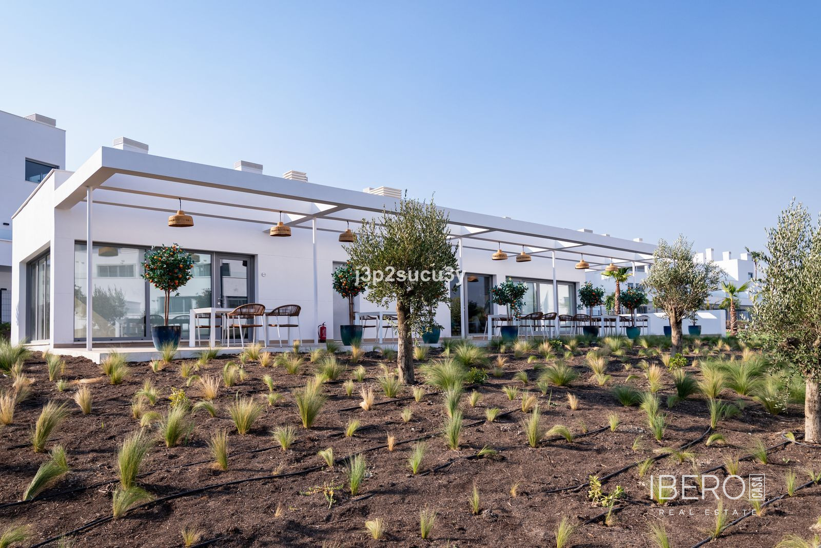 Fotografie 25