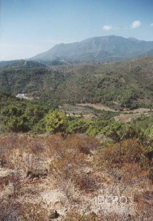 Fotografie 15