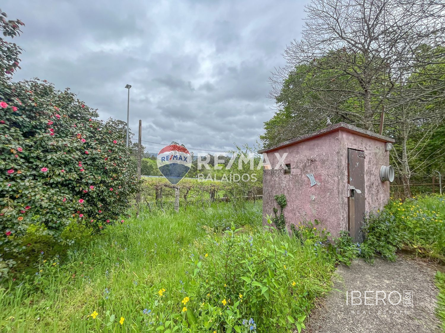 Fotografie 11