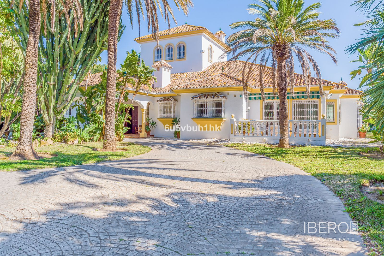 Fotografie 13