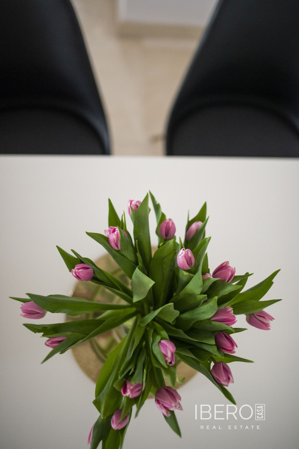 Fotografie 11