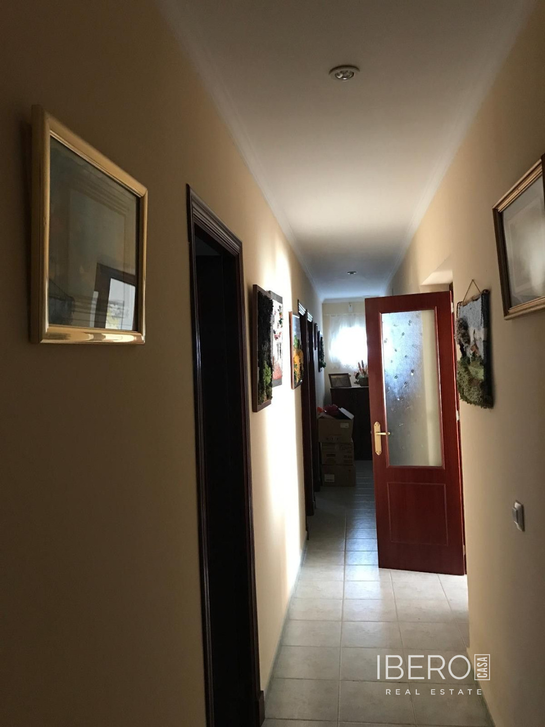 Fotografie 8