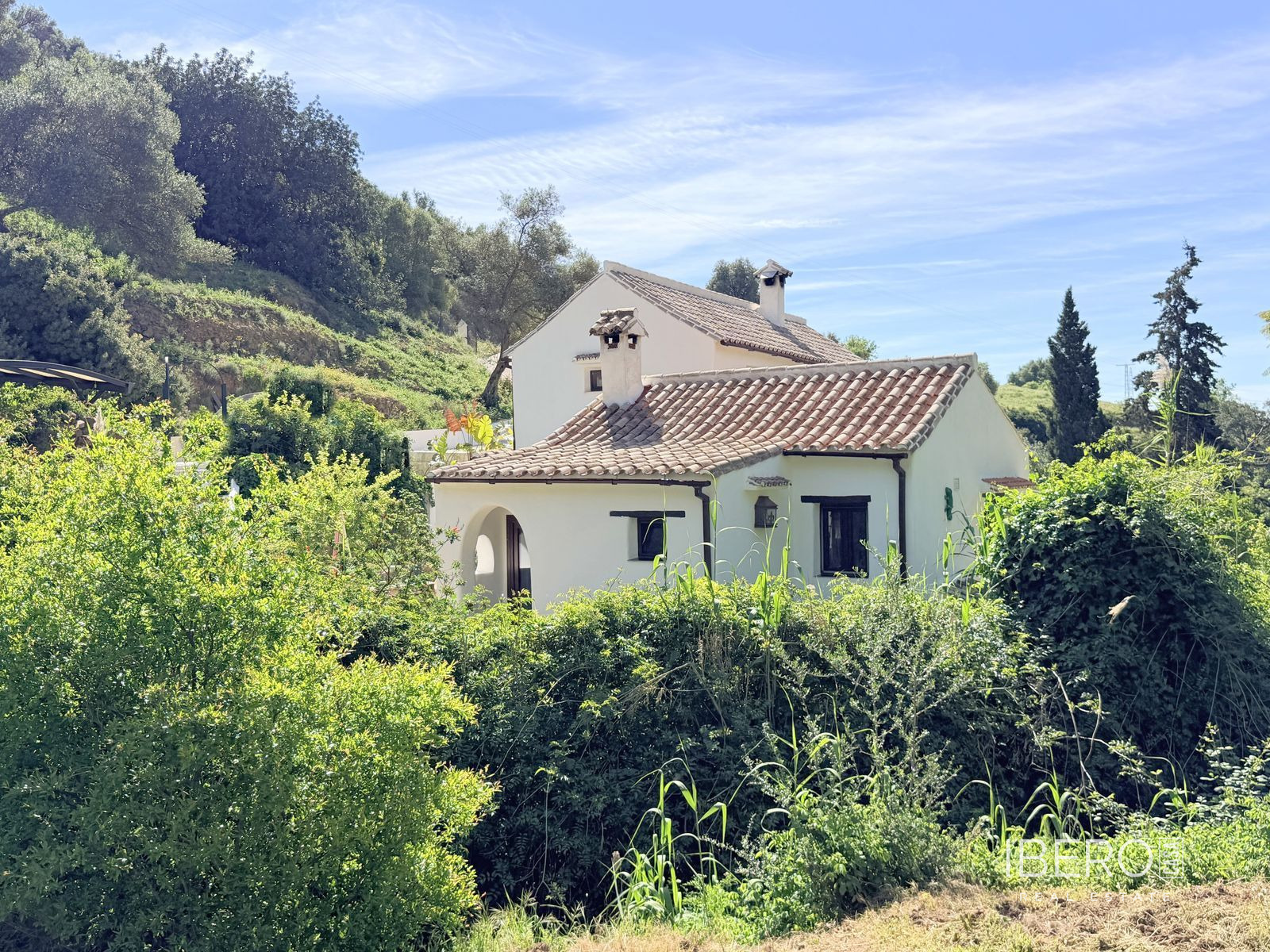 Fotografie 13