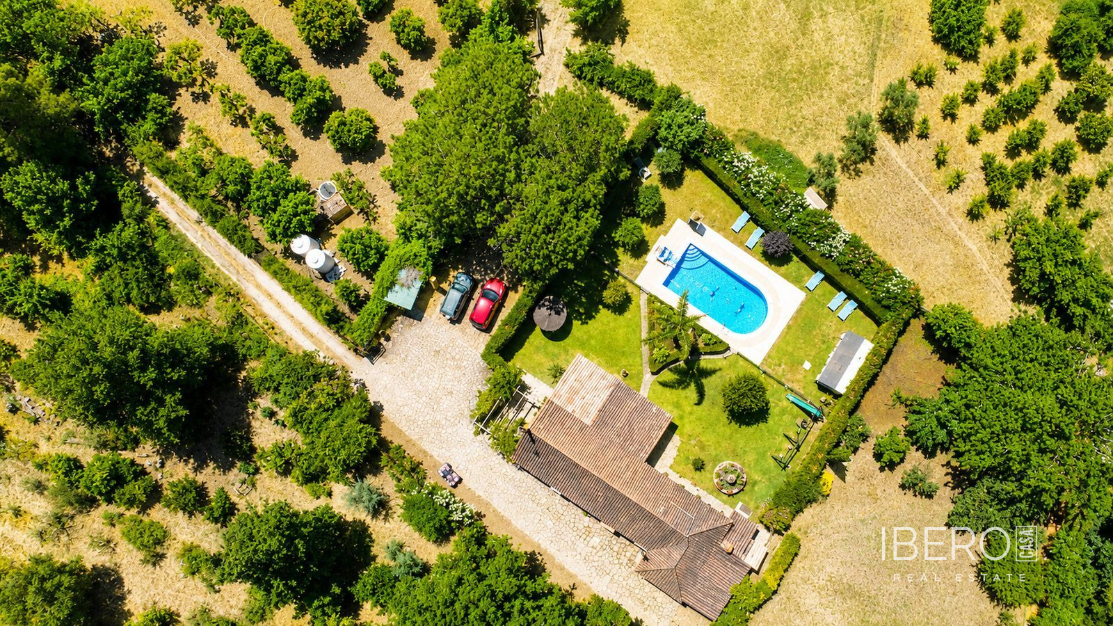 Fotografie 3