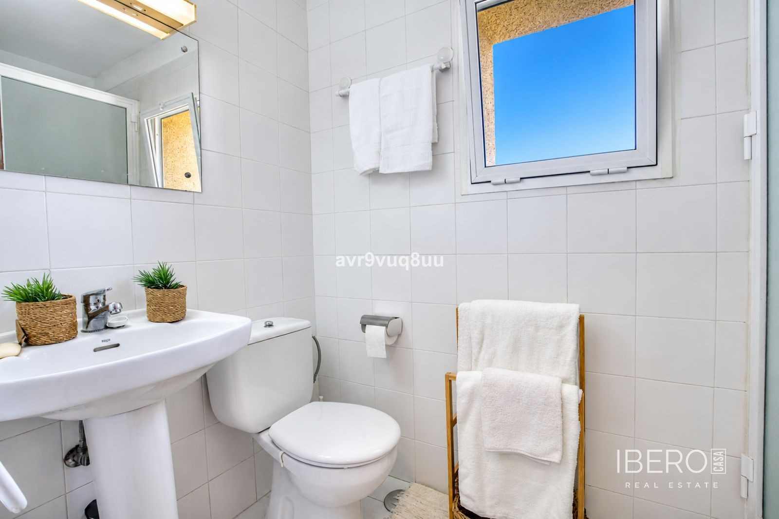 Fotografie 11