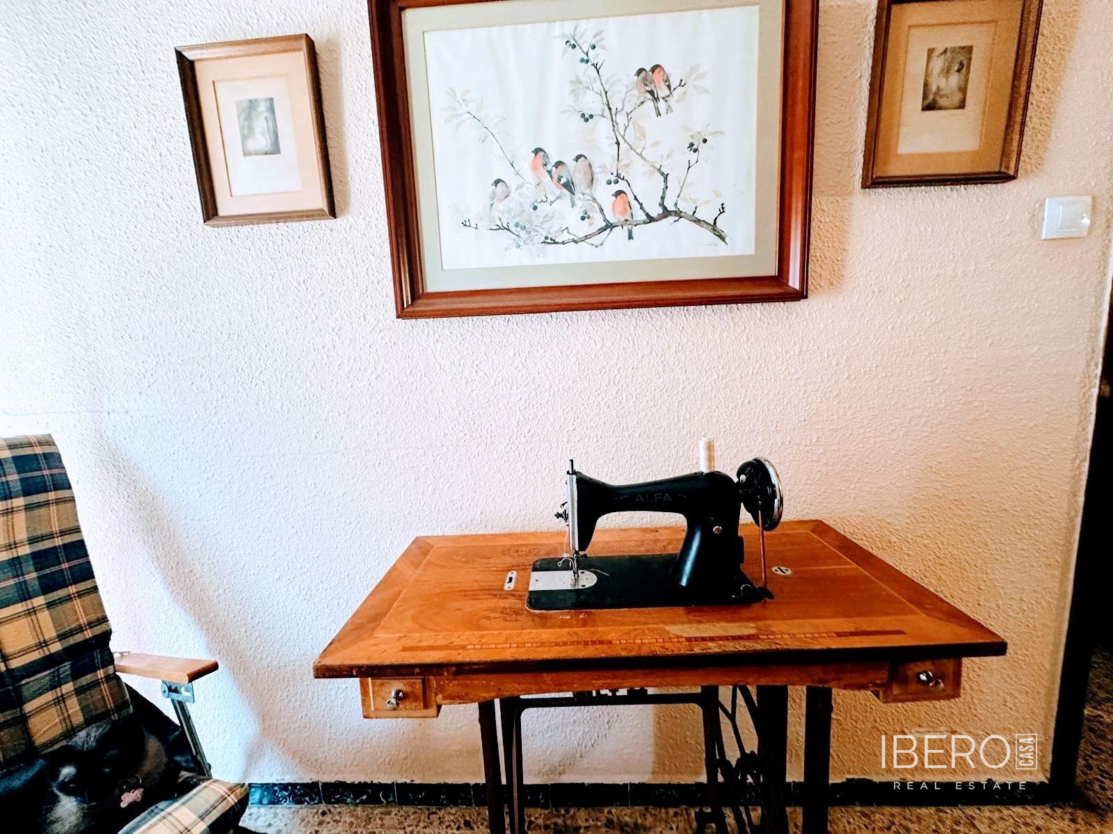 Fotografie 10
