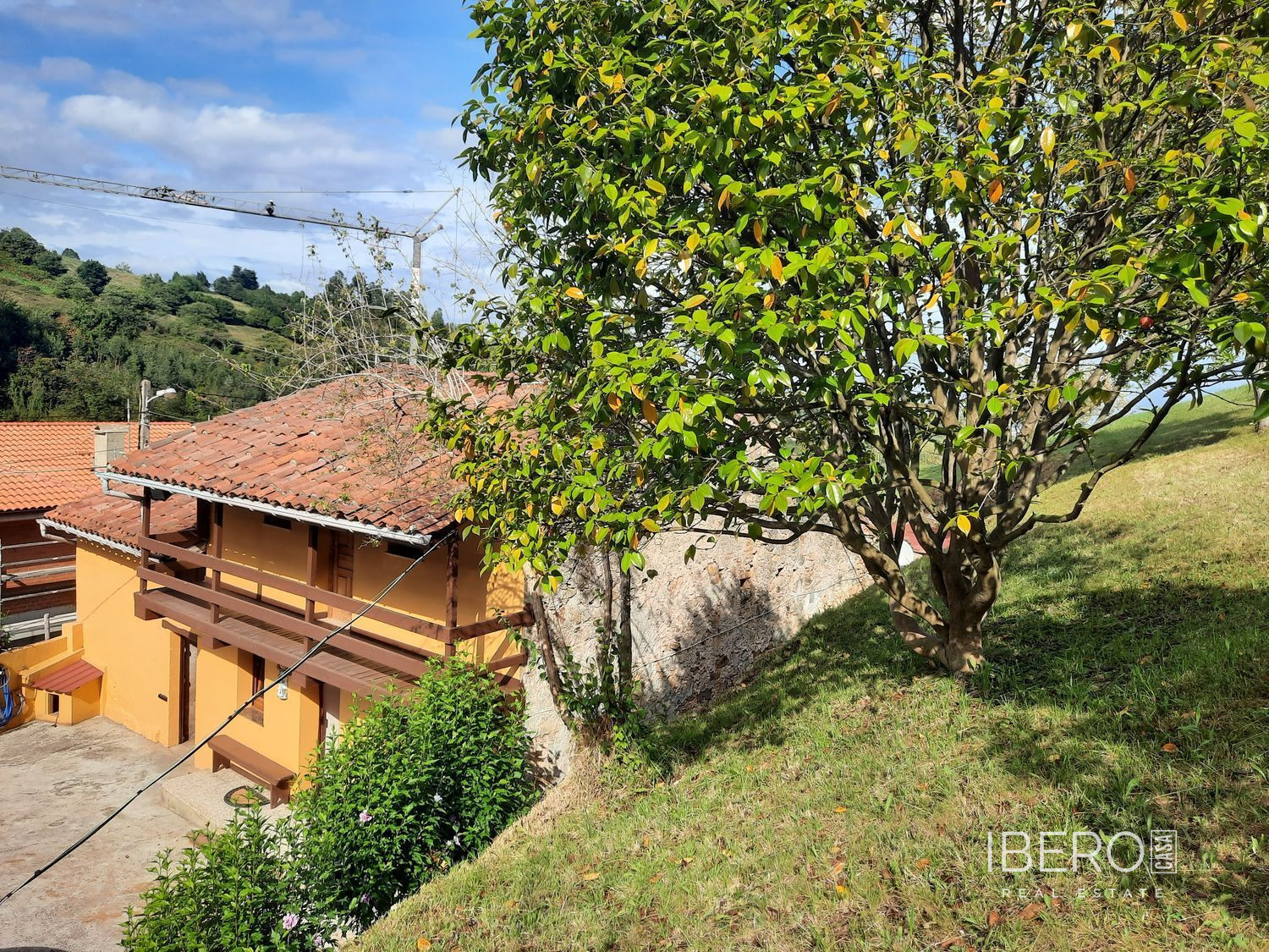 Fotografie 5
