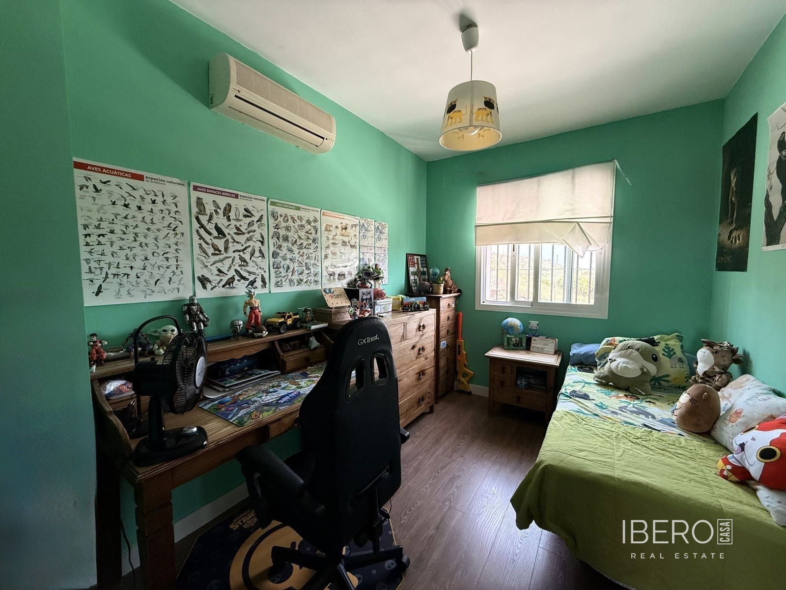 Fotografie 11