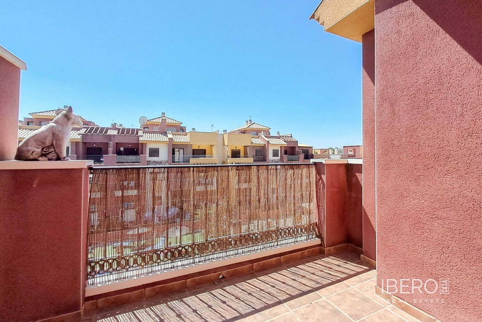 Fotografie 13