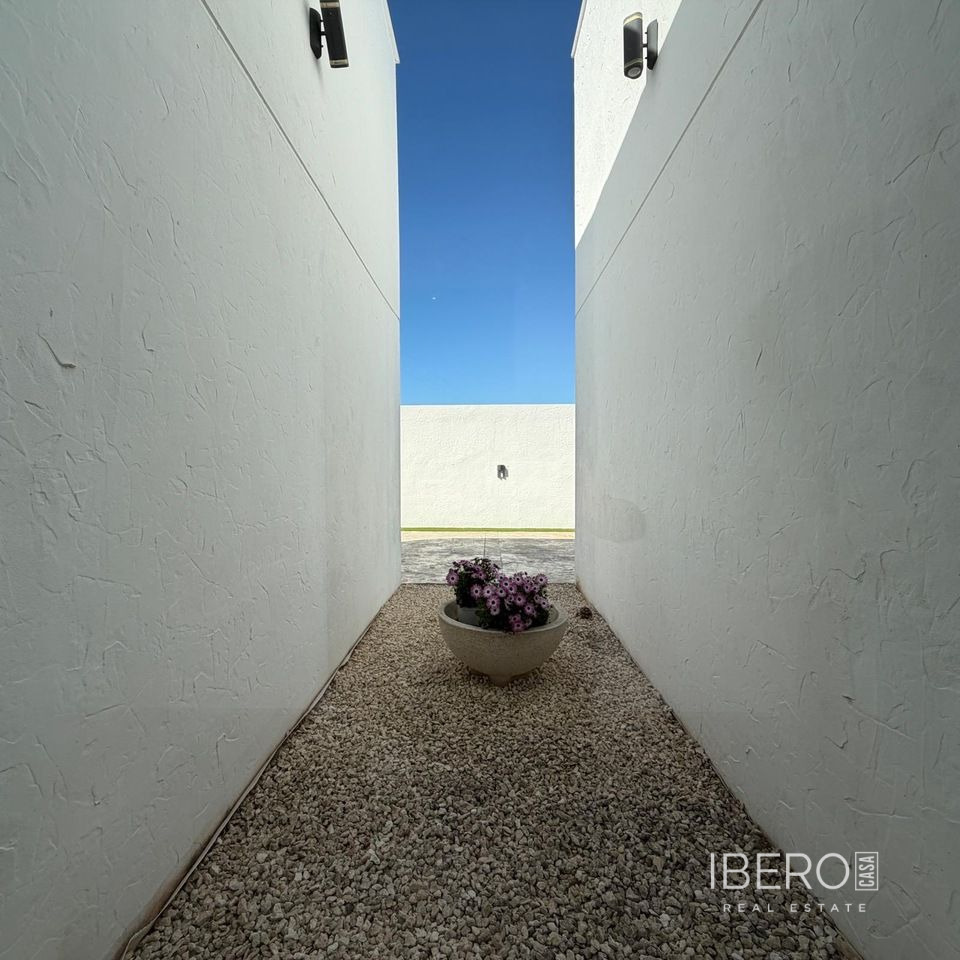 Fotografie 13