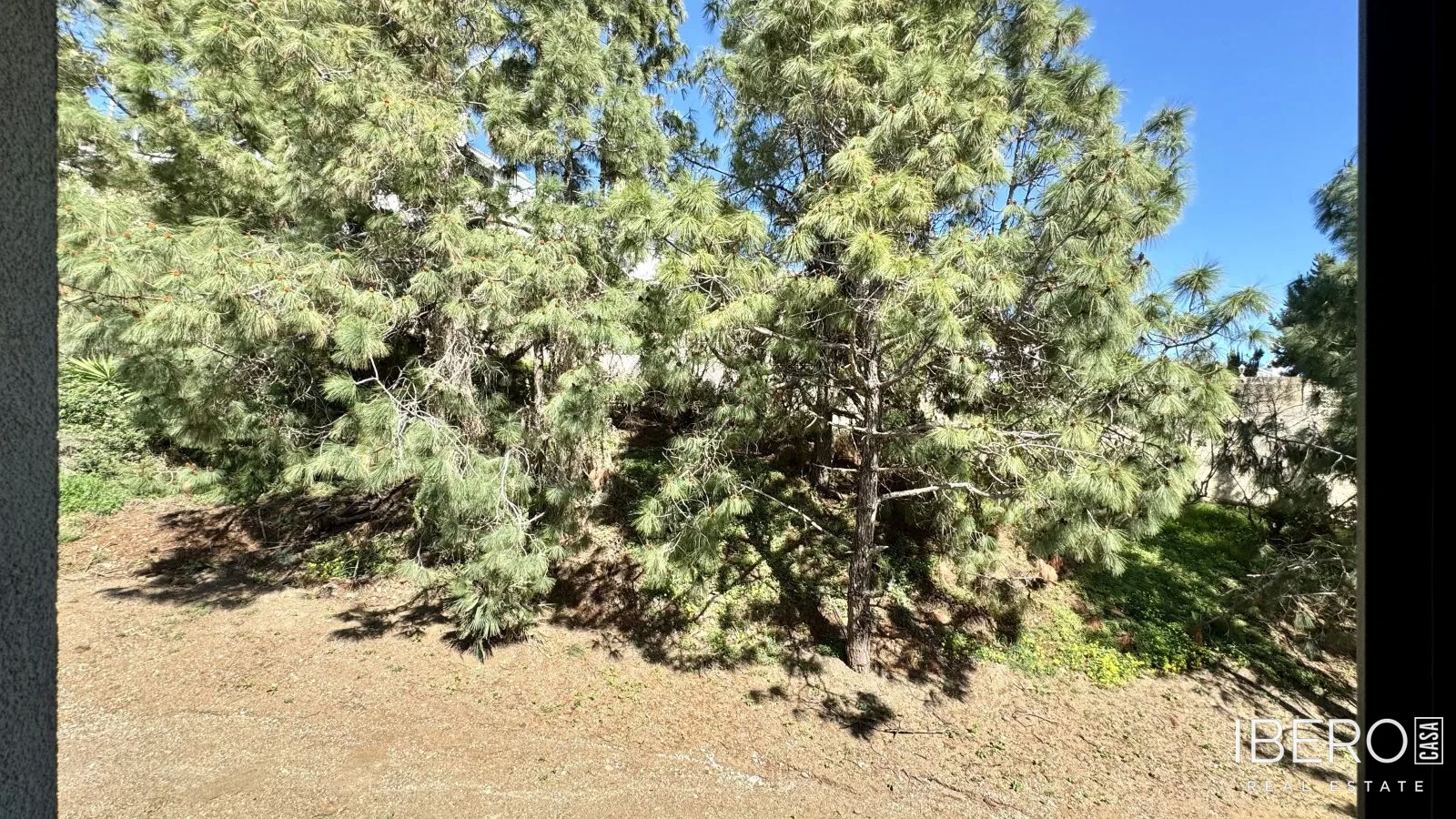 Fotografie 31