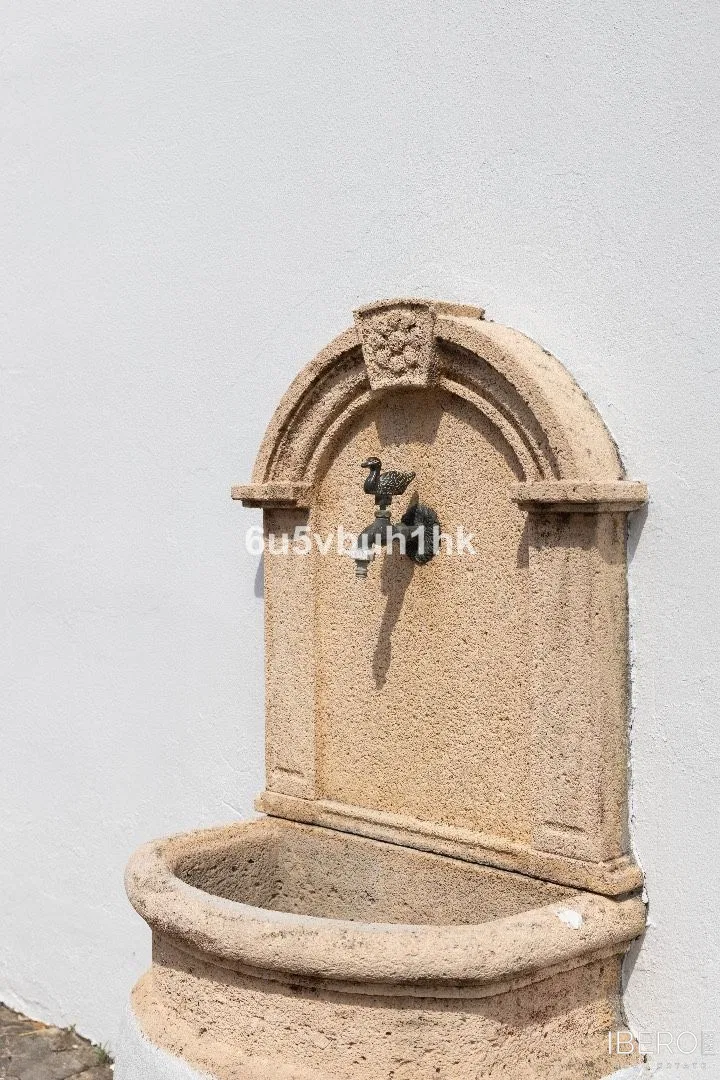 Fotografie 9