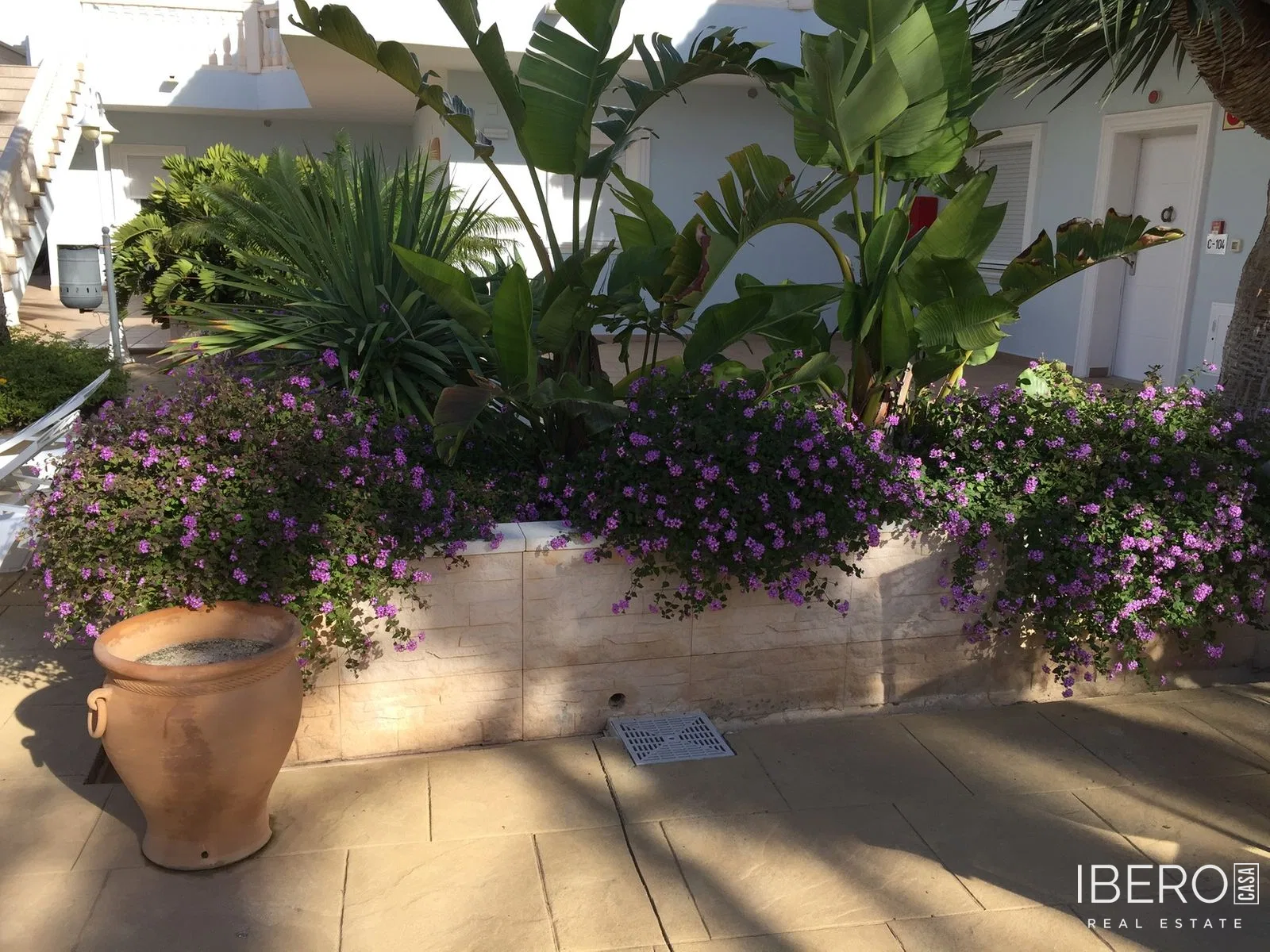 Fotografie 7