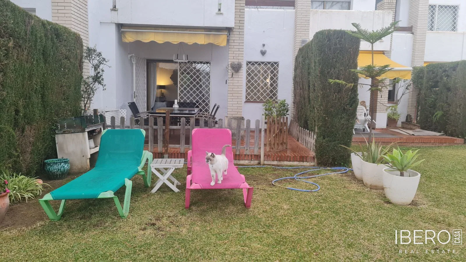 Fotografie 5