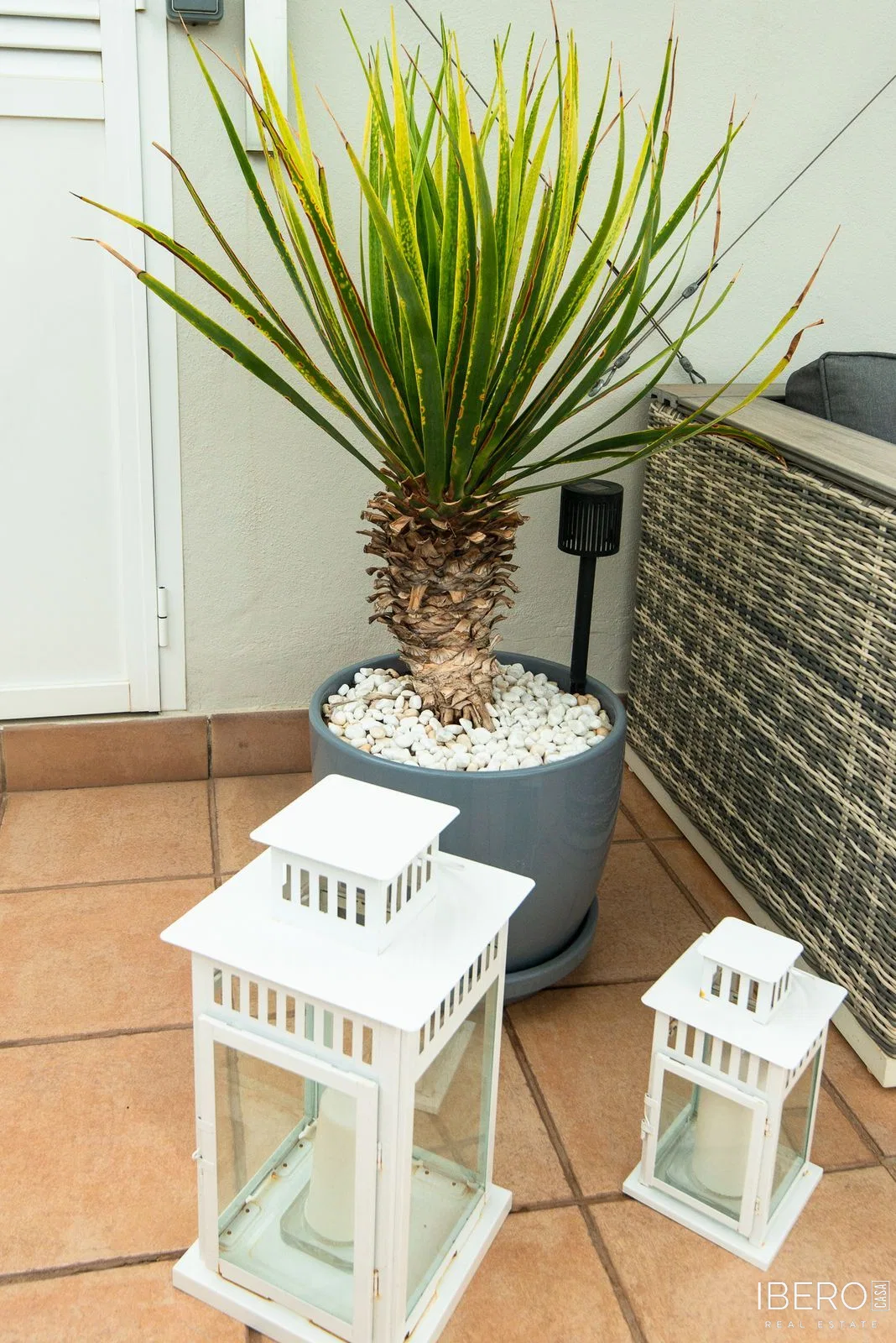 Fotografie 20