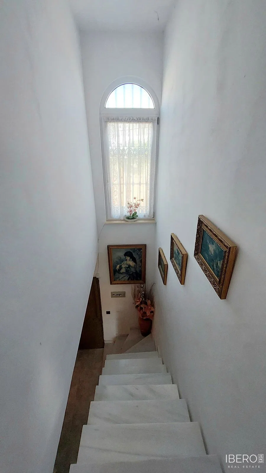 Fotografie 19