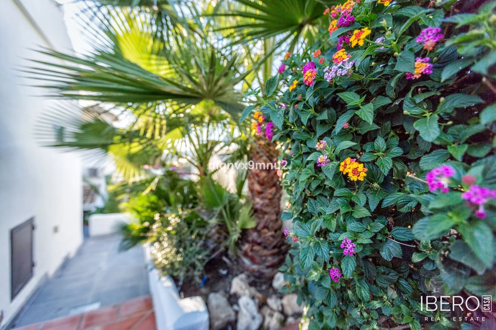 Fotografie 7
