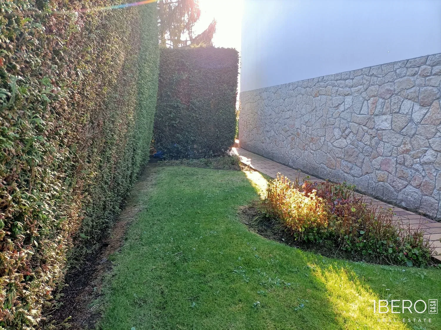 Fotografie 27