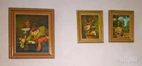 Fotografie 25