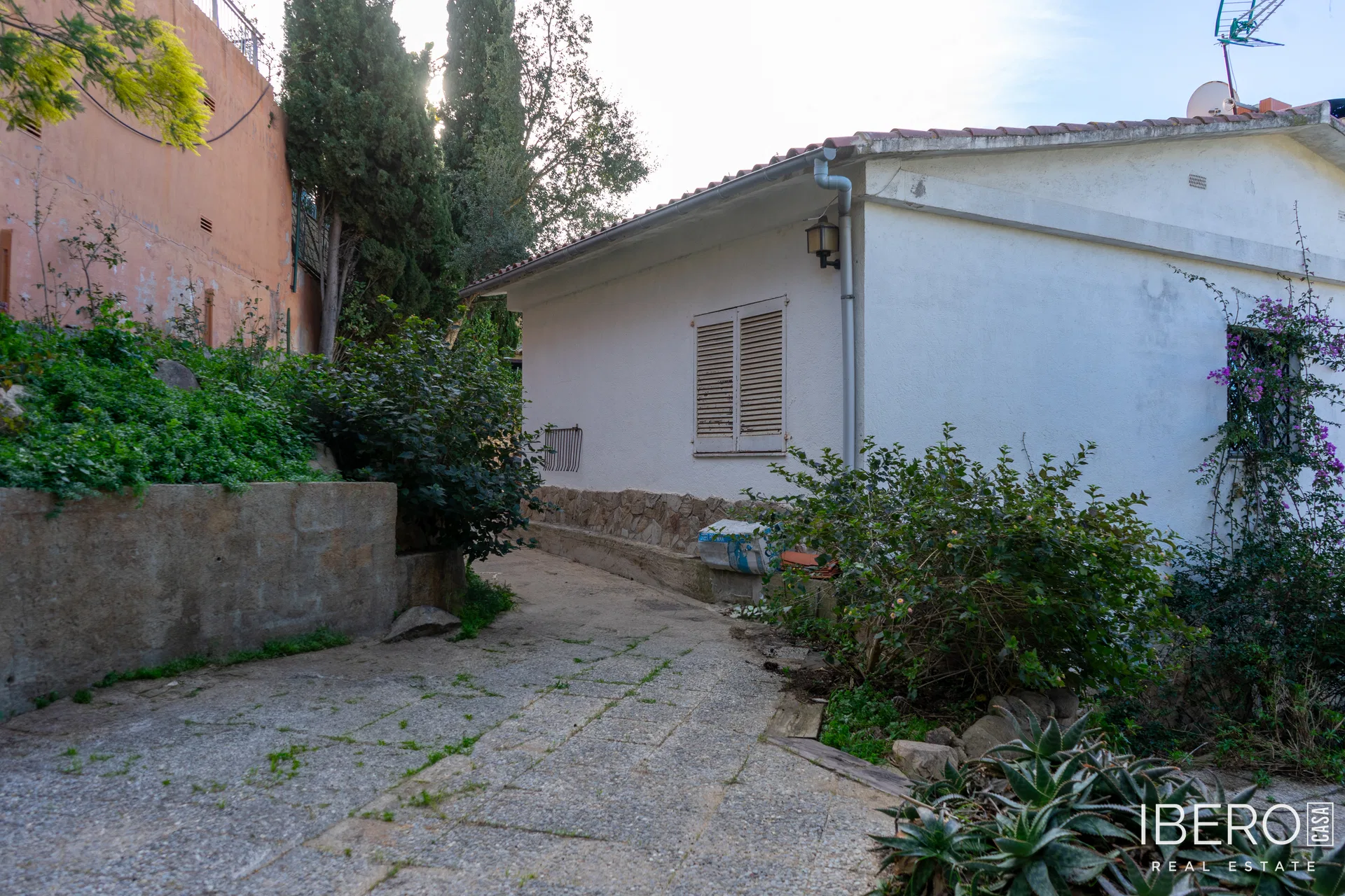 Fotografie 20