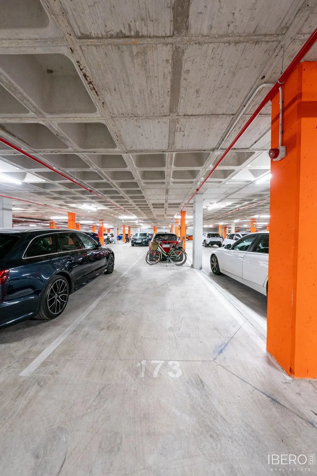 Fotografie 26