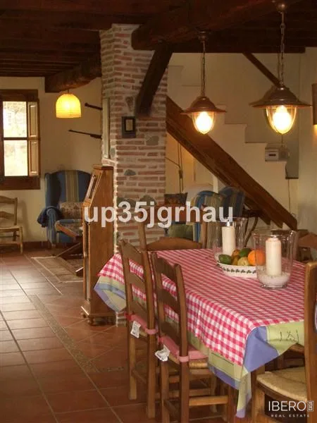 Fotografie 13