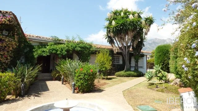 Fotografie 14