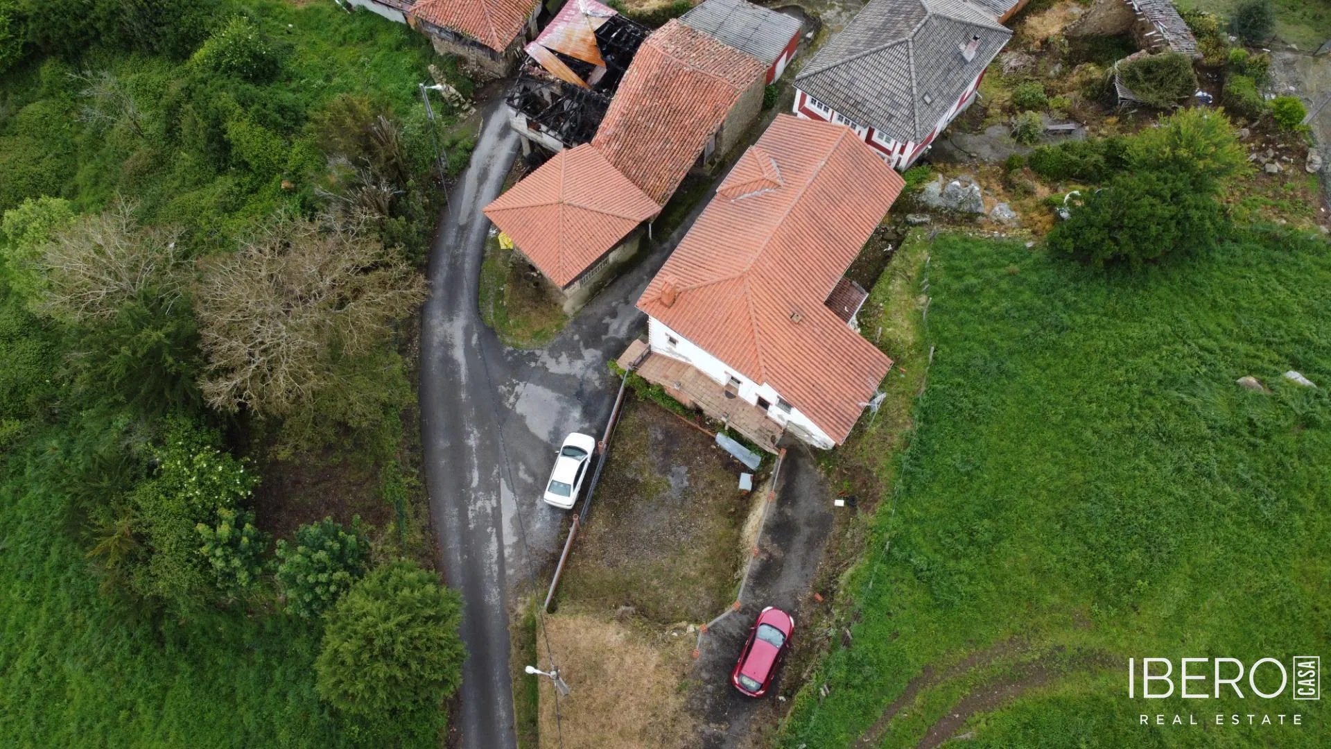 Fotografie 35