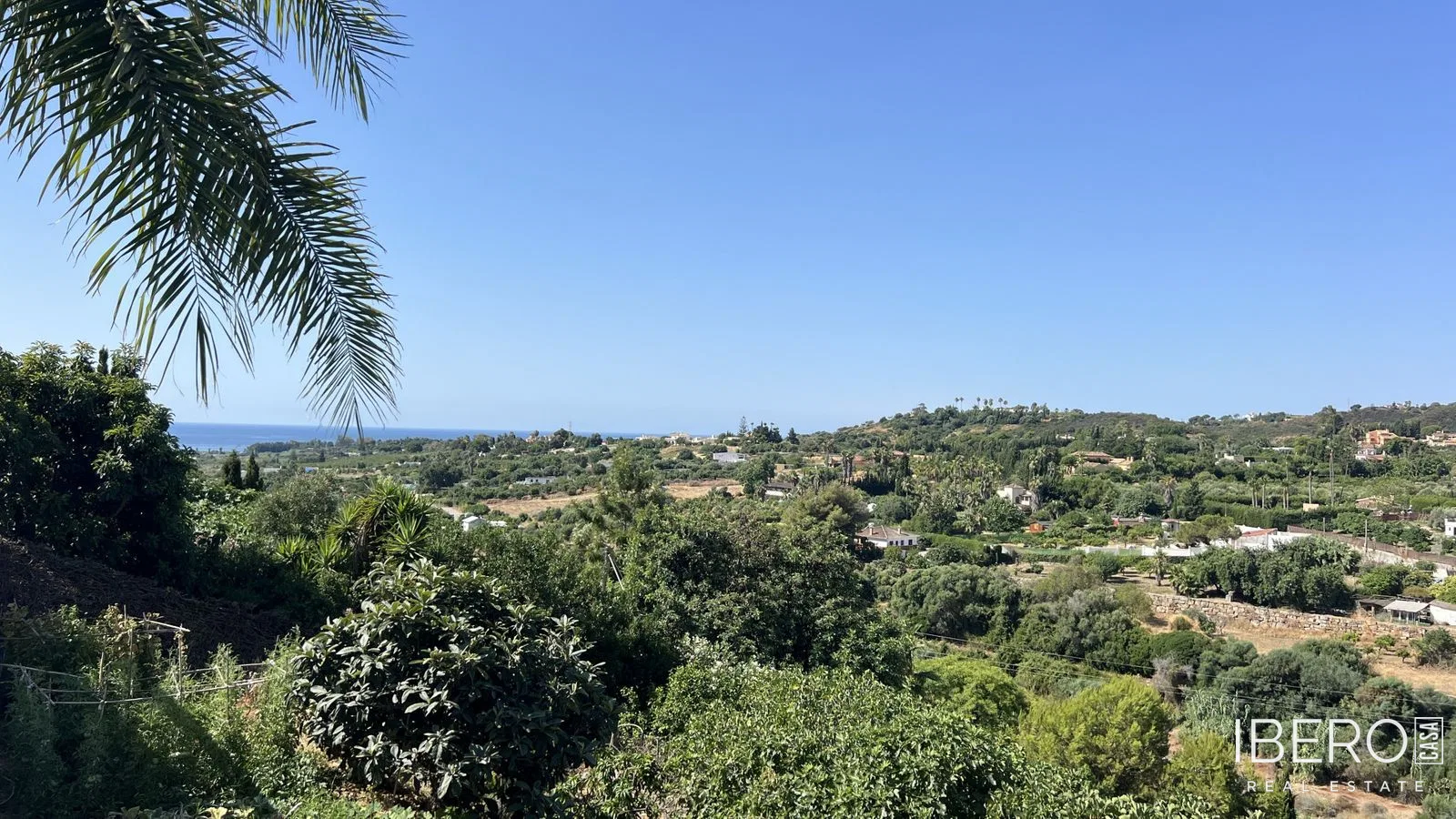 Fotografie 11
