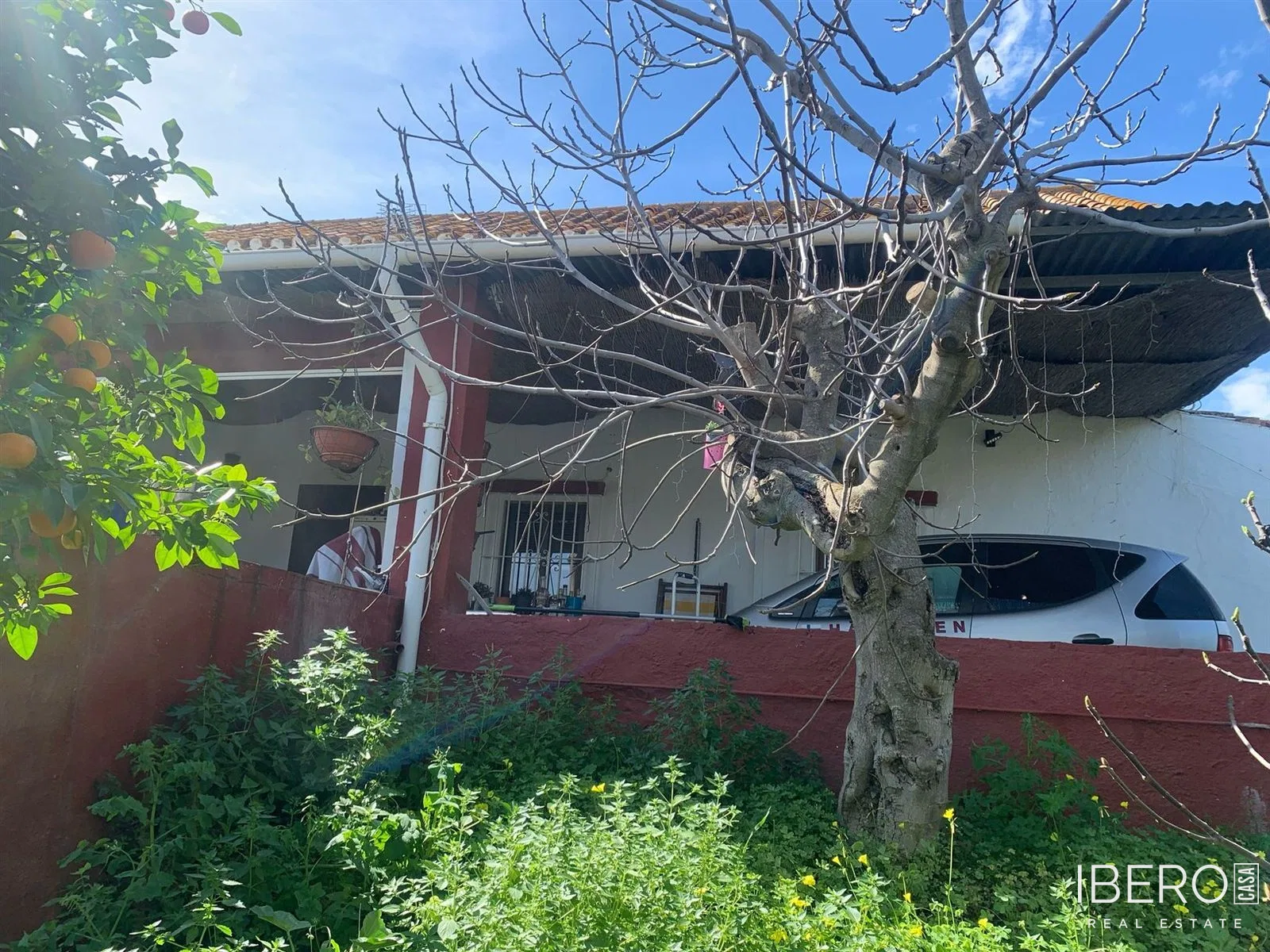 Fotografie 5