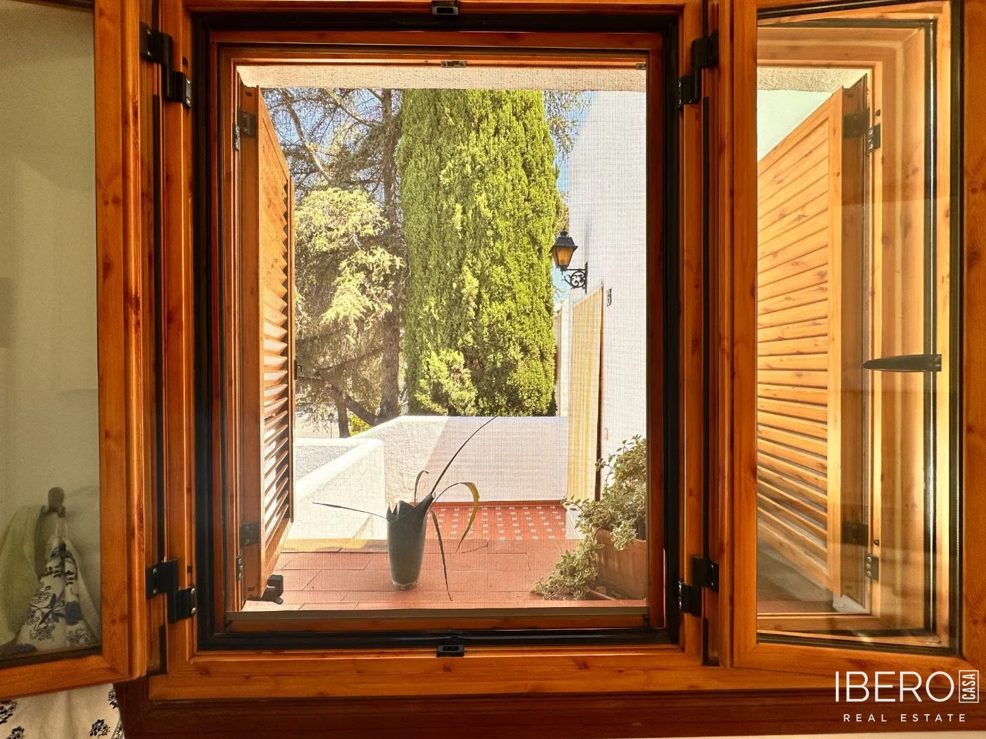 Fotografie 15