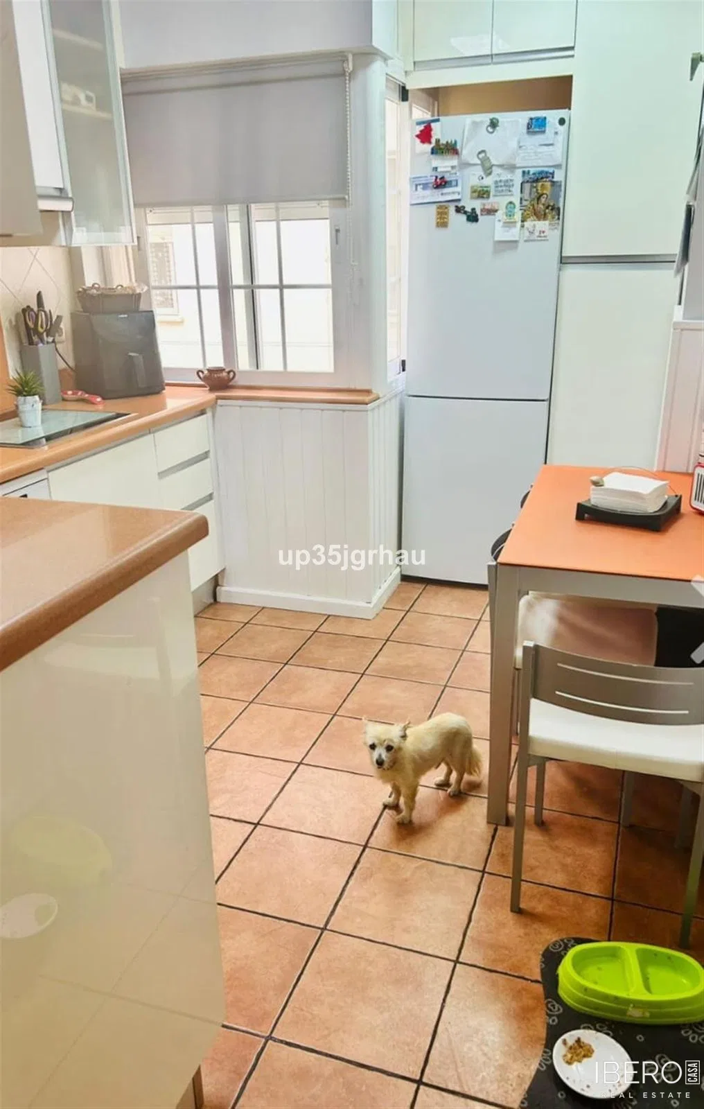 Fotografie 7